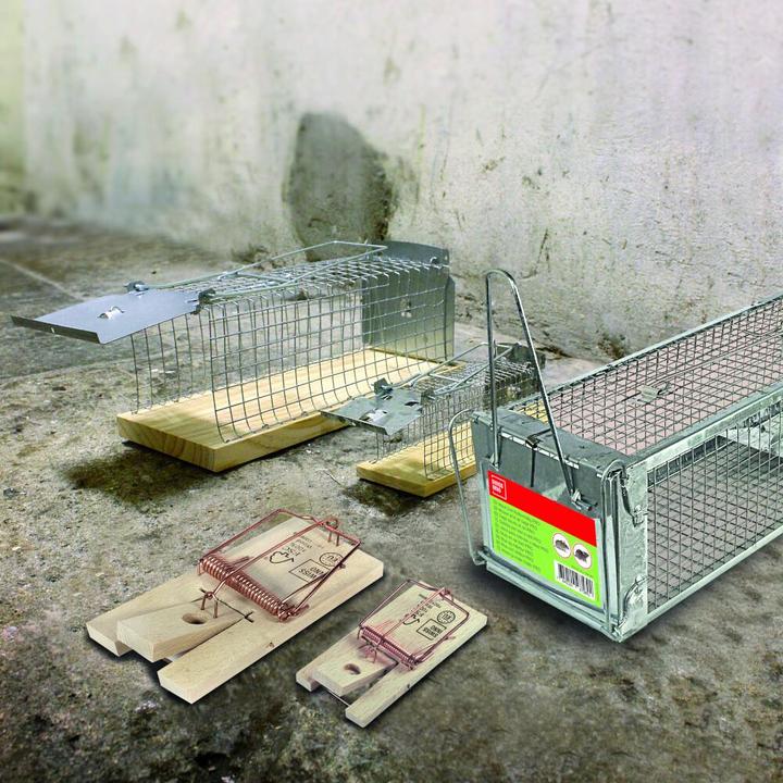 Produktbild Swissinno Rattenfalle SuperCat Classic 1
