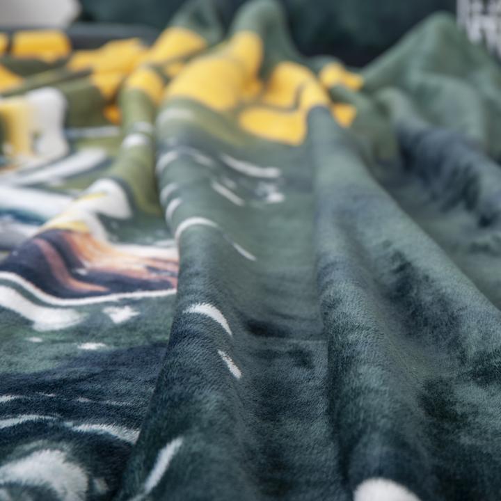 Image du produit NFL Couverture Packers Wellsoft (200 x 150 cm)