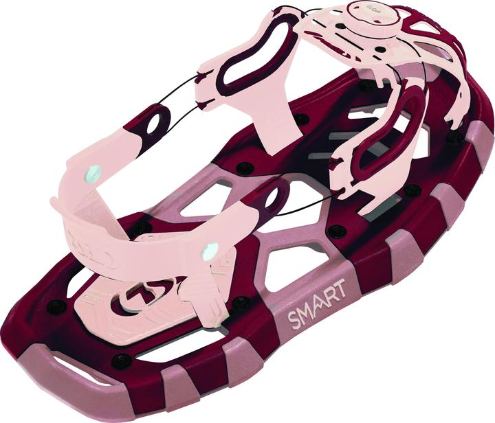 Produktbild Tsl Smart