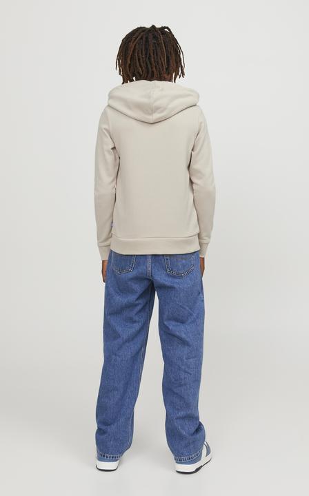 Image du produit Jack & Jones Sweat à capuche garçon (140)