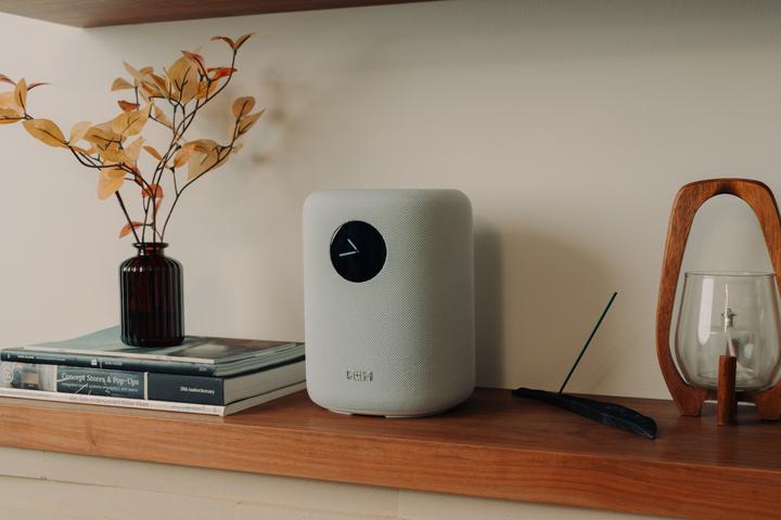 Image du produit WiiM Son Lpwisndw (Amazon Alexa, Apple Siri, Assistant Google)