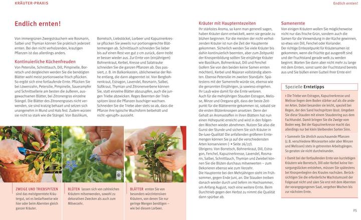Produktbild Küchenkräuter in Töpfen (Deutsch, Engelbert Kötter, 2014)