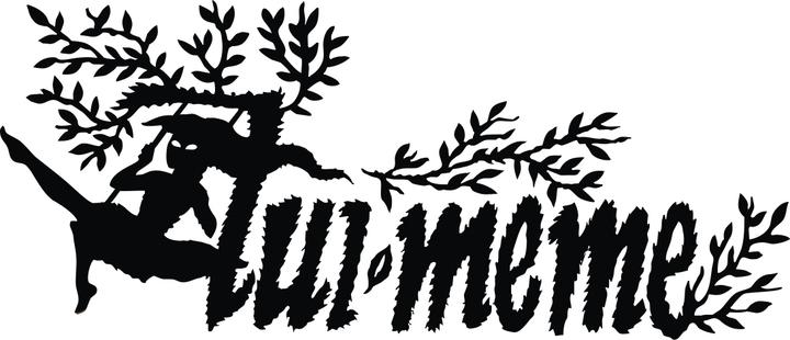 Produktbild Asmodée Die Werwölfe Von Düsterwald: Der Pakt (Deutsch)