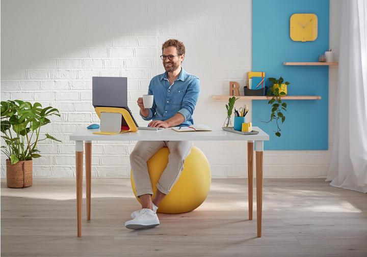 Image du produit Leitz Ballon-siège Ergo Cosy Active (65 cm)