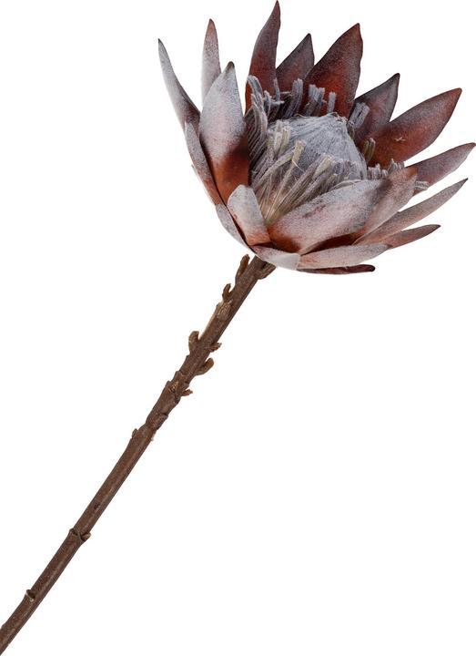 Actual product image House Nordic King (75 cm)