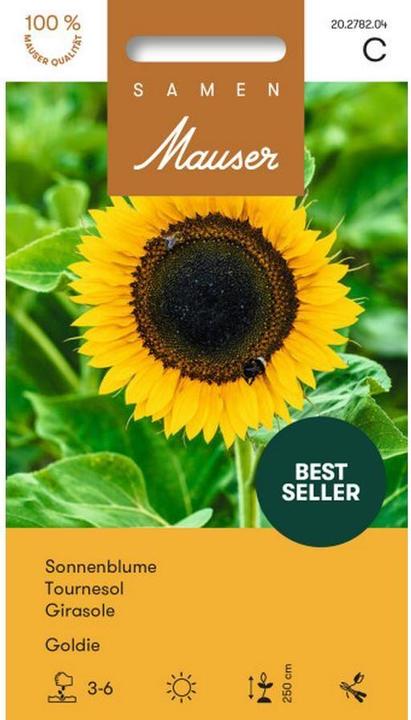 Actual product image Samen Mauser Sunflower Goldie (Plant seeds)