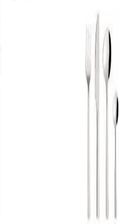 Immagine prodotto RAW Set di posate in acciaio inox - lucidatura a specchio - 48 pezzi (48 Pezzo/i, Set di posate)