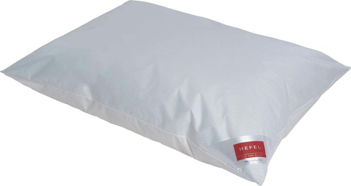 Image du produit Hefel Cool Coussin Oreiller (65 x 100 cm)