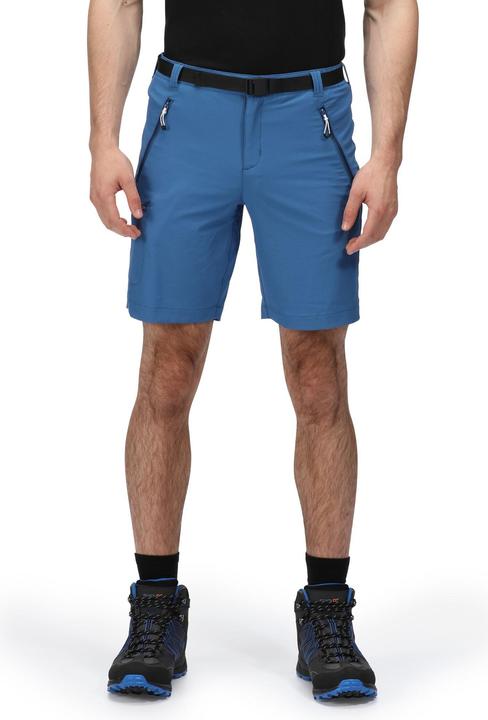 Actual product image Regatta Mens Xert III Stretch Shorts (44)