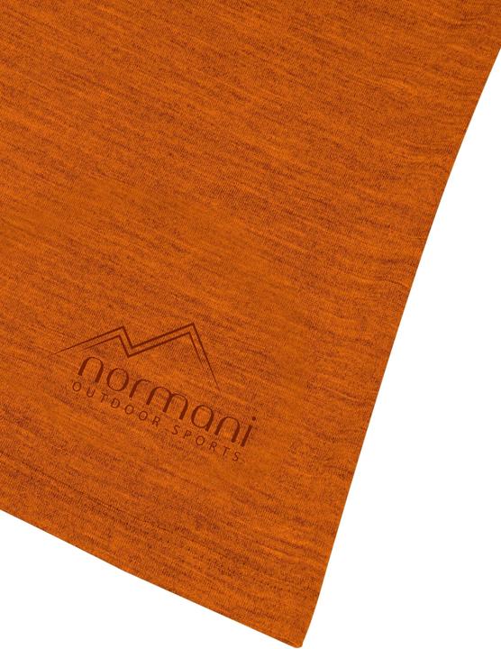 Actual product image Normani Herren Merino T-Shirt Darwin (M)