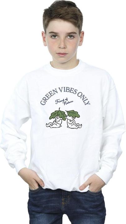 Image du produit Disney - Sweat CHIP 'N DALE GREEN VIBES ONLY - Garçon (128)