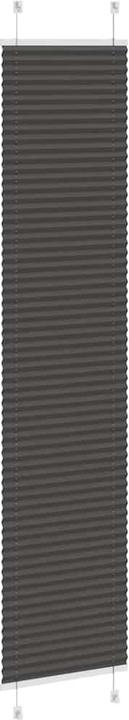 Produktbild vidaXL Plissee (45 x 200 cm)