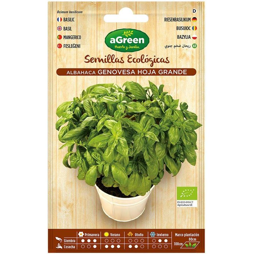 Agreen, Semi, Envelope of eco basil genovesa seeds (Semi di erbe)