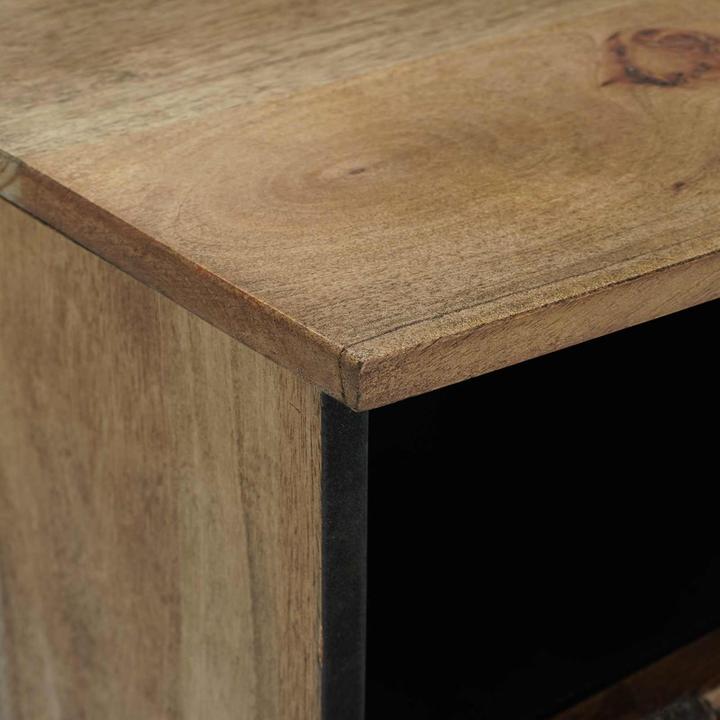 Image du produit vidaXL TV-Ständer (100 x 33.50 x 46 cm)