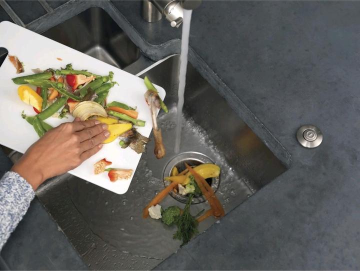 Produktbild ISE Evolution Plus 1000 EC Müllzerkleinerer ExModell Evolution 200 Profi variante (980 ml, 450 W)