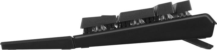 Actual product image Endorfy Omnis keyboard USB QWERTY Black (US, Cable)