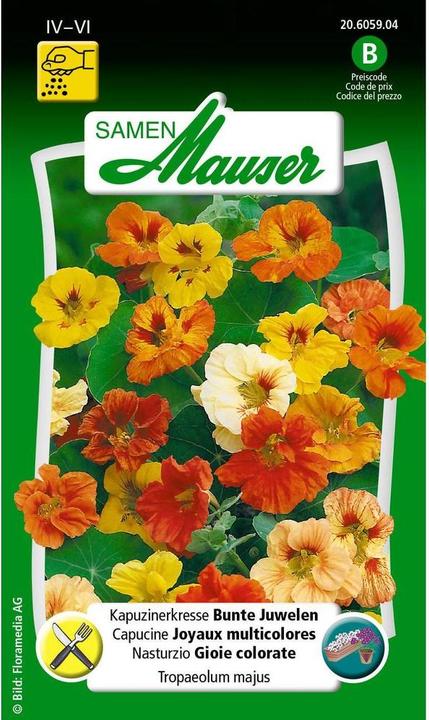 Samen Mauser Kapuzinerkresse Bunte Juwelen (Kräutersamen)