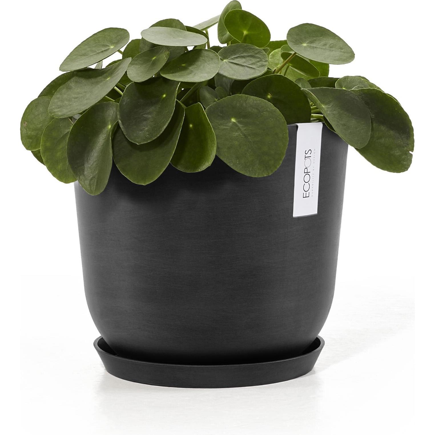 Thumbnail - Ecopots, Blumentopf Zubehör, Saucer Round