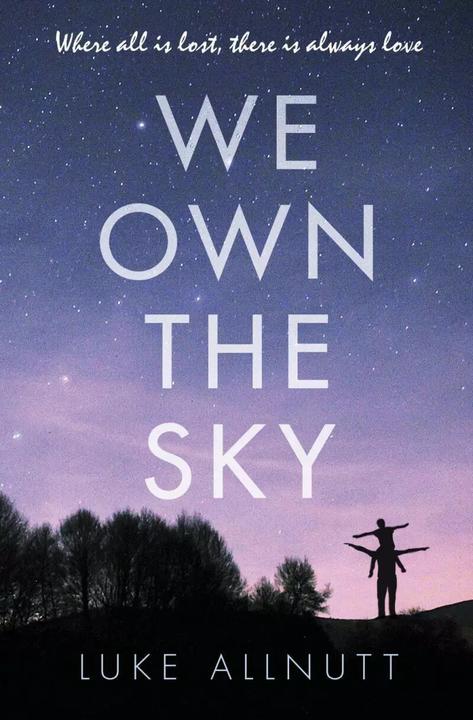 Produktbild We Own The Sky (Englisch, Luke Allnutt, 2018)