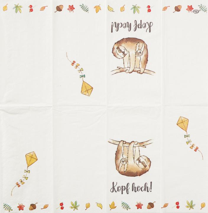 Produktbild IHR Taschentuch Kopf