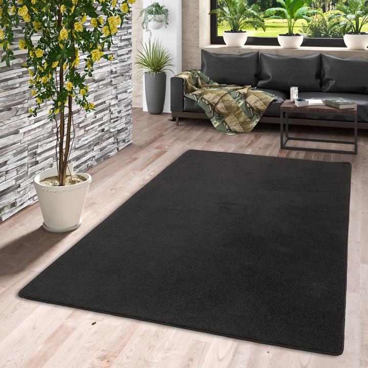 Image du produit Snapstyle Trend Velours Tapis Joy (100x200 cm)