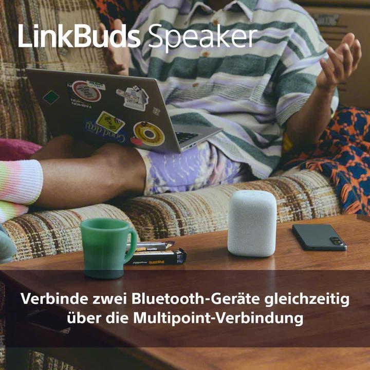 Productafbeelding Sony SRS-LS1 (25 h, Oplaadbare batterij)