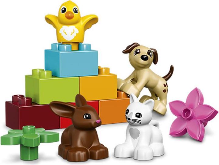 Actual product image LEGO Pets (10838)