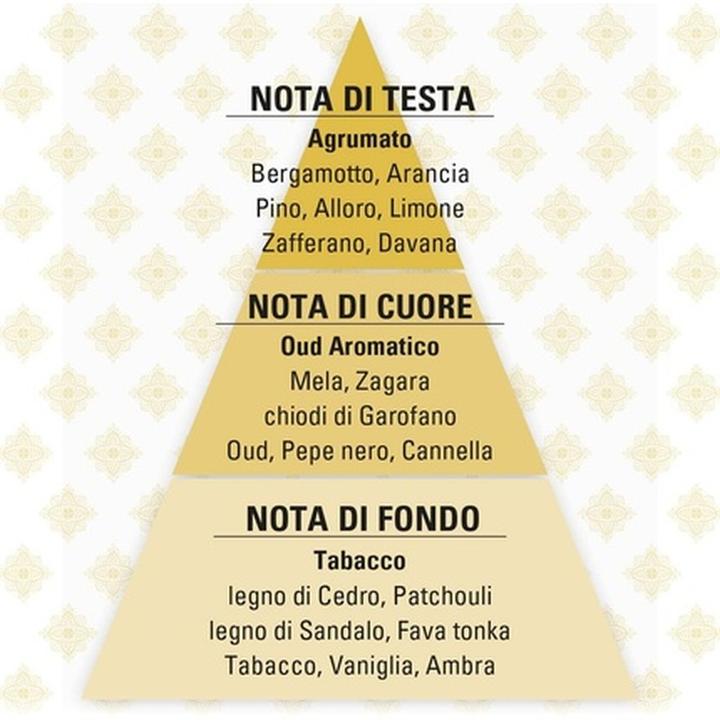 Actual product image Helan Oud Men's Perfume with Citrus Fragrance - Elegant and Mysterious (Eau de parfum)