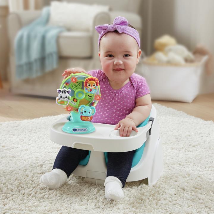Productafbeelding VTech La Grande Roue Des Baby Loulous