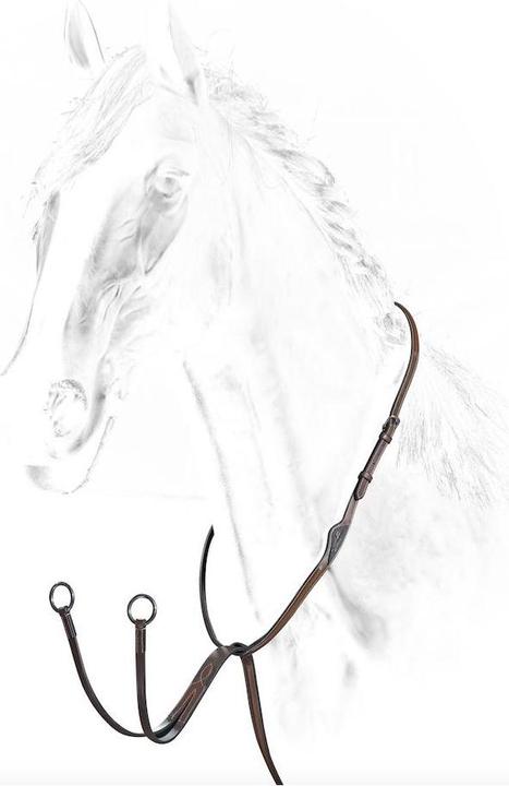 Image du produit Equiline Martingale avec boucles en acier inoxydable