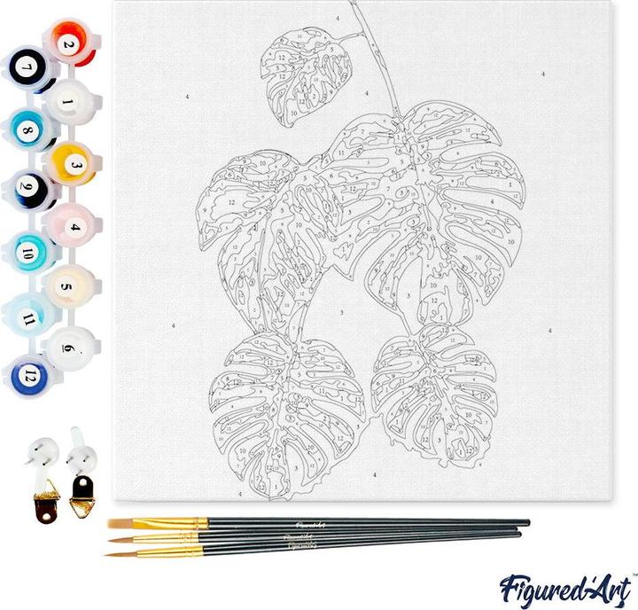 Immagine prodotto Figured'Art Mini Kit da Dipingere con i Numeri con Cornice - Le Foglie di Monstera