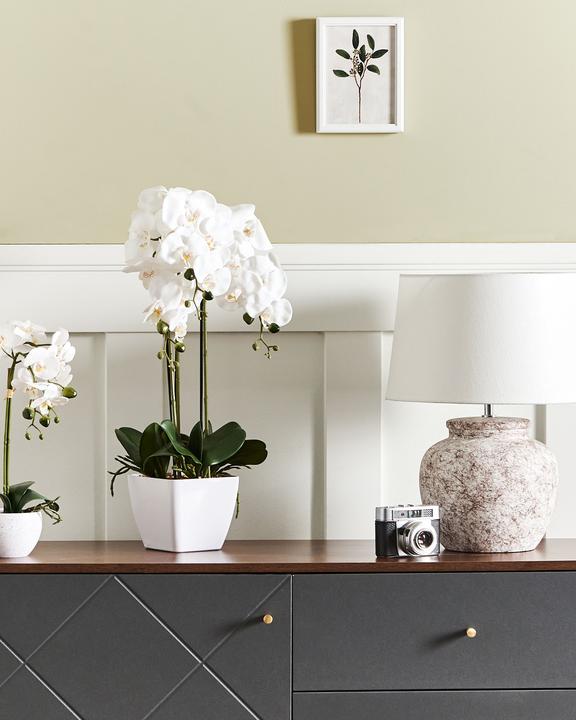 Immagine prodotto Beliani Orchidea Oncidium (59 cm)