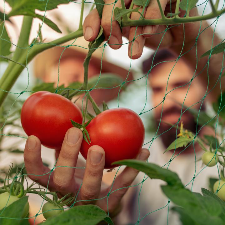 Immagine prodotto Relaxdays 3x rete da arrampicata (0.10 cm, 500 cm)