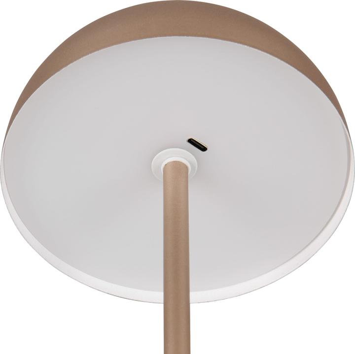 Actual product image Reality Munoz (120 lm)