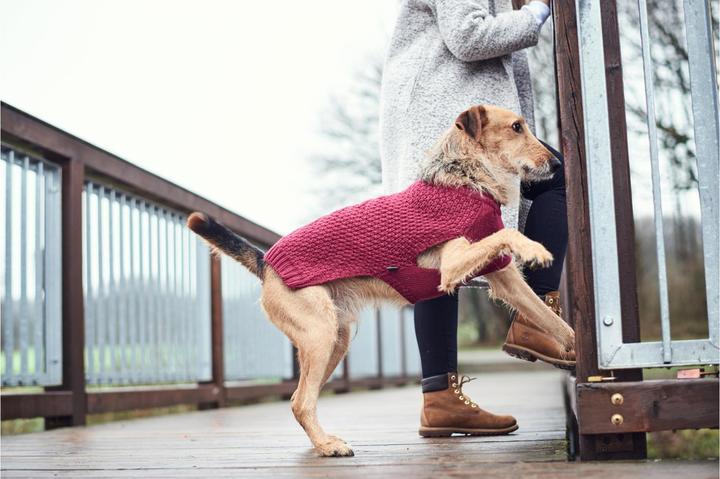 Produktbild Hunter Hundepullover Malmö (50, Hundepullover)