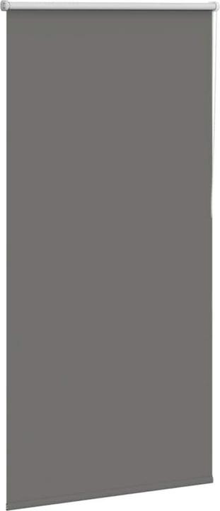 Actual product image vidaXL Verdunkelungsrollo (65 x 130 cm)