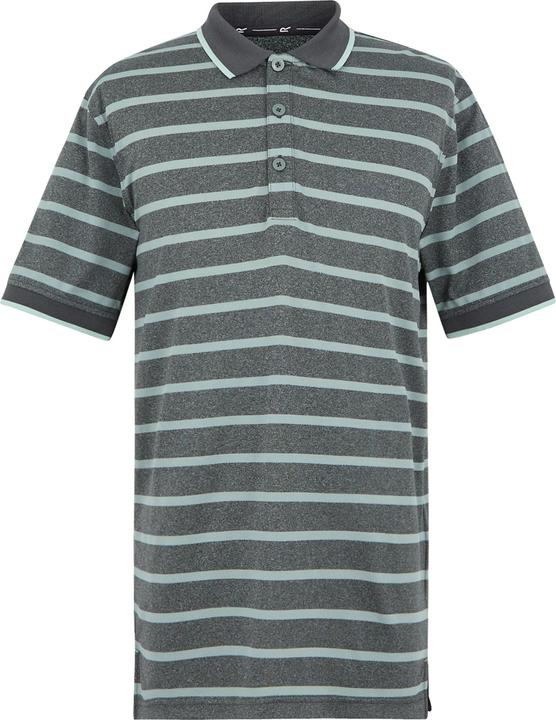 Actual product image Regatta Mens Kildra Polo Shirt (XXL)
