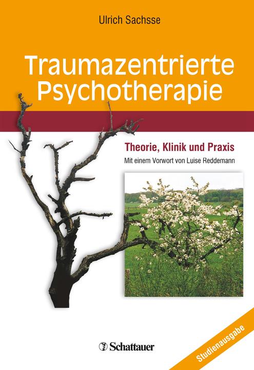 Image du produit Traumazentrierte Psychotherapie (Allemand, Professeur Ulrich Sachsse, 2018)