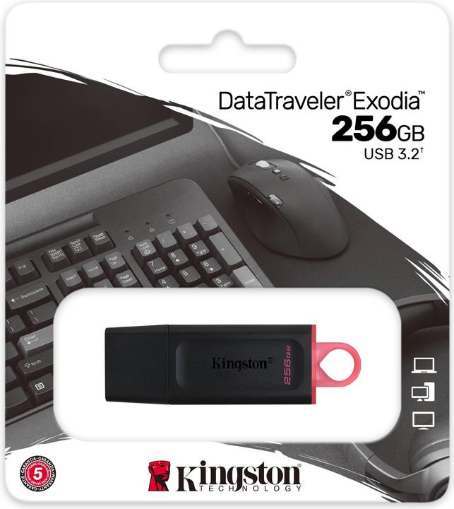 Image du produit Kingston DataTraveler Exodia (256 Go, USB-A)