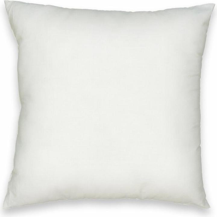 Image du produit La Redoute Interieurs Terra (50 x 30 cm)