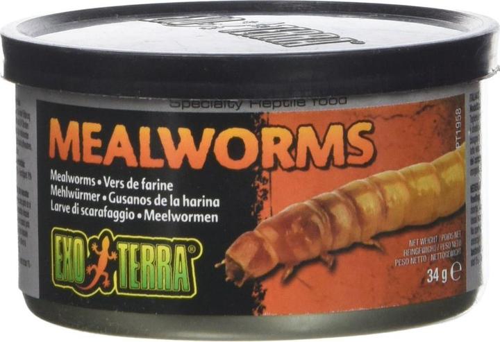 Actual product image Exo Terra Reptile food Mealworms 34g (1 x, 0.03 kg)
