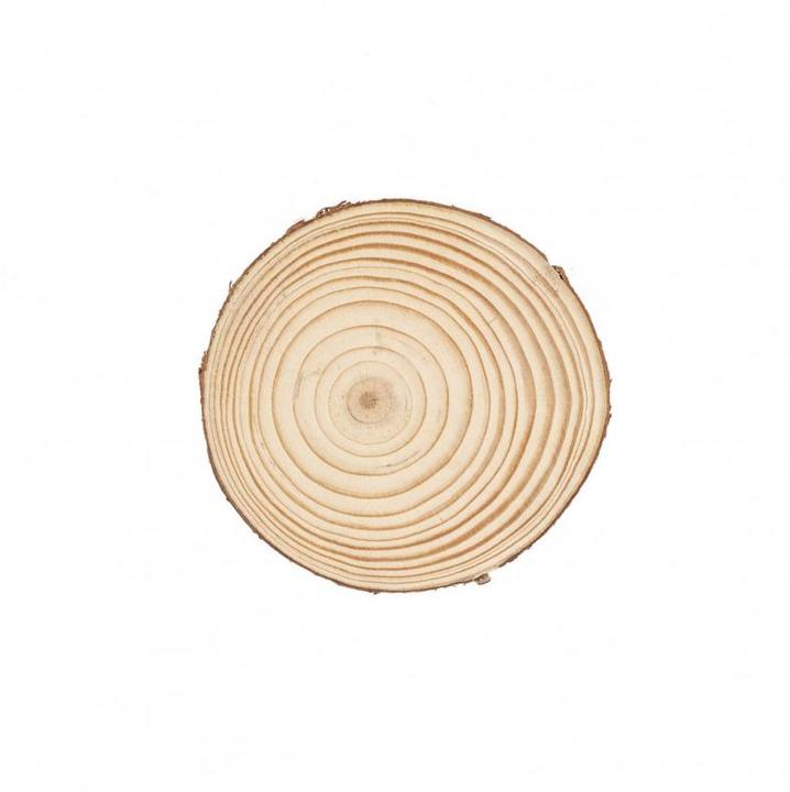 Actual product image Glorex Holzscheibe Kiefer