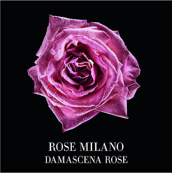 Immagine prodotto Giorgio Armani Privé Rose Milano (Eau de toilette, 100 ml)