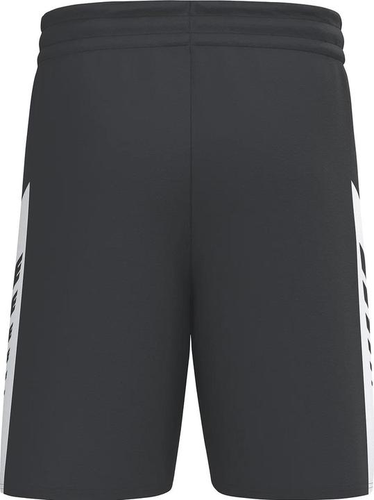 Actual product image Erima INTRO Shorts (XL)