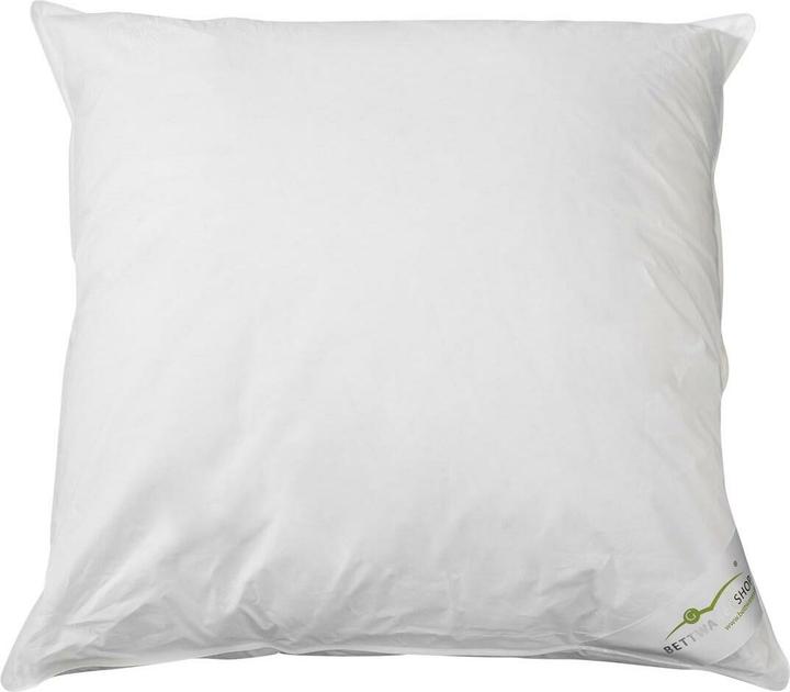 Actual product image BettwarenShop Exclusiv (65 x 65 cm)