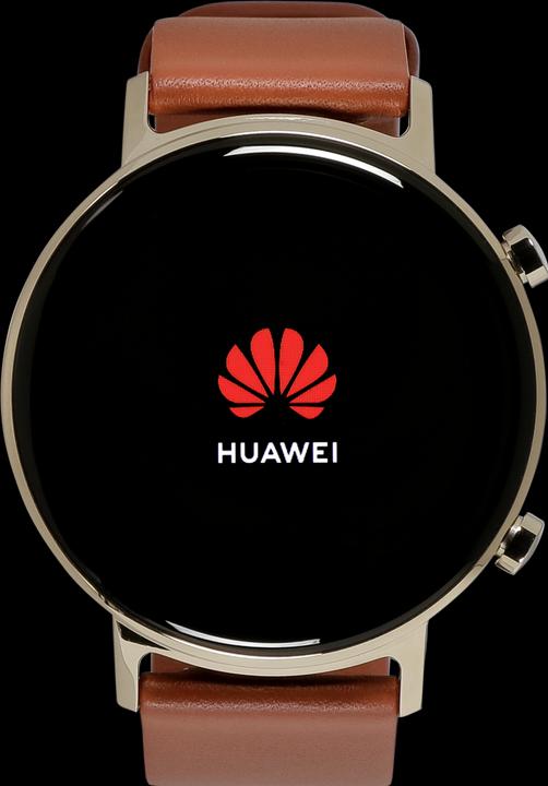 Produktbild Huawei Watch GT 2 Elegant 42mm chestnut red (42 mm)