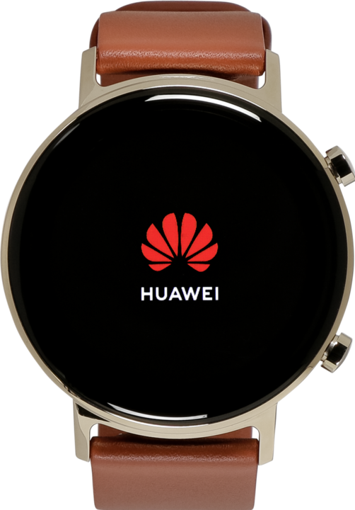 Produktbild Huawei Watch GT 2 Elegant 42mm chestnut red (42 mm)