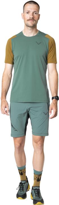 Produktbild Dynafit Transalper Light Dynastretch Shorts Herren (XL)