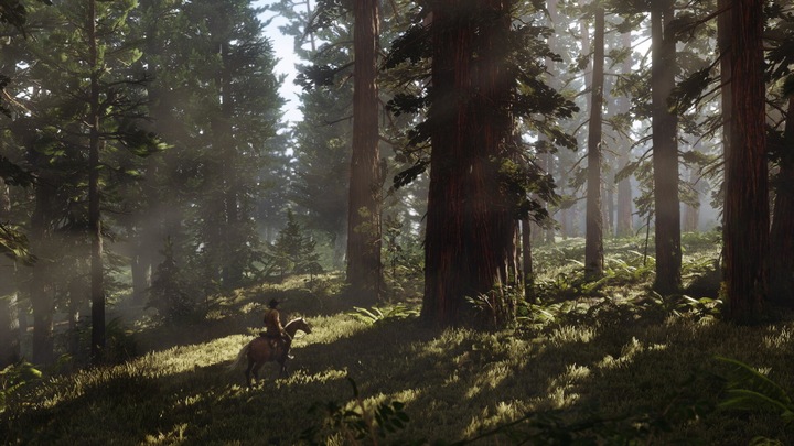 Produktbild 2K Games Red Dead Redemption 2 (Xbox One X, Xbox Series X, FR)