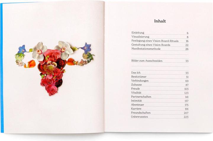 Image du produit Gestalte dein Vision Board (Allemand, Birgit van der Avoort, CanDace Johnson, 2024)